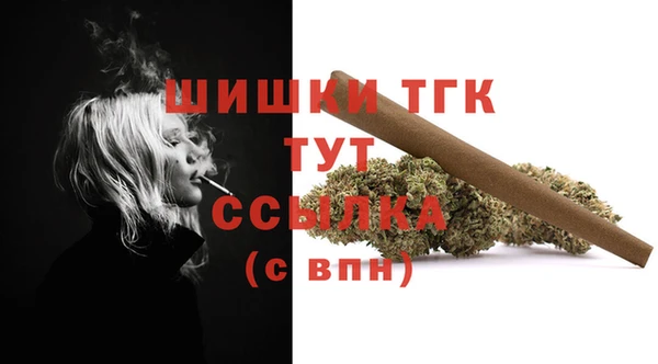тгк Аркадак