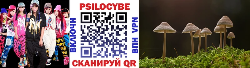 купить наркотики цена Тавда Псилоцибиновые грибы MAGIC MUSHROOMS